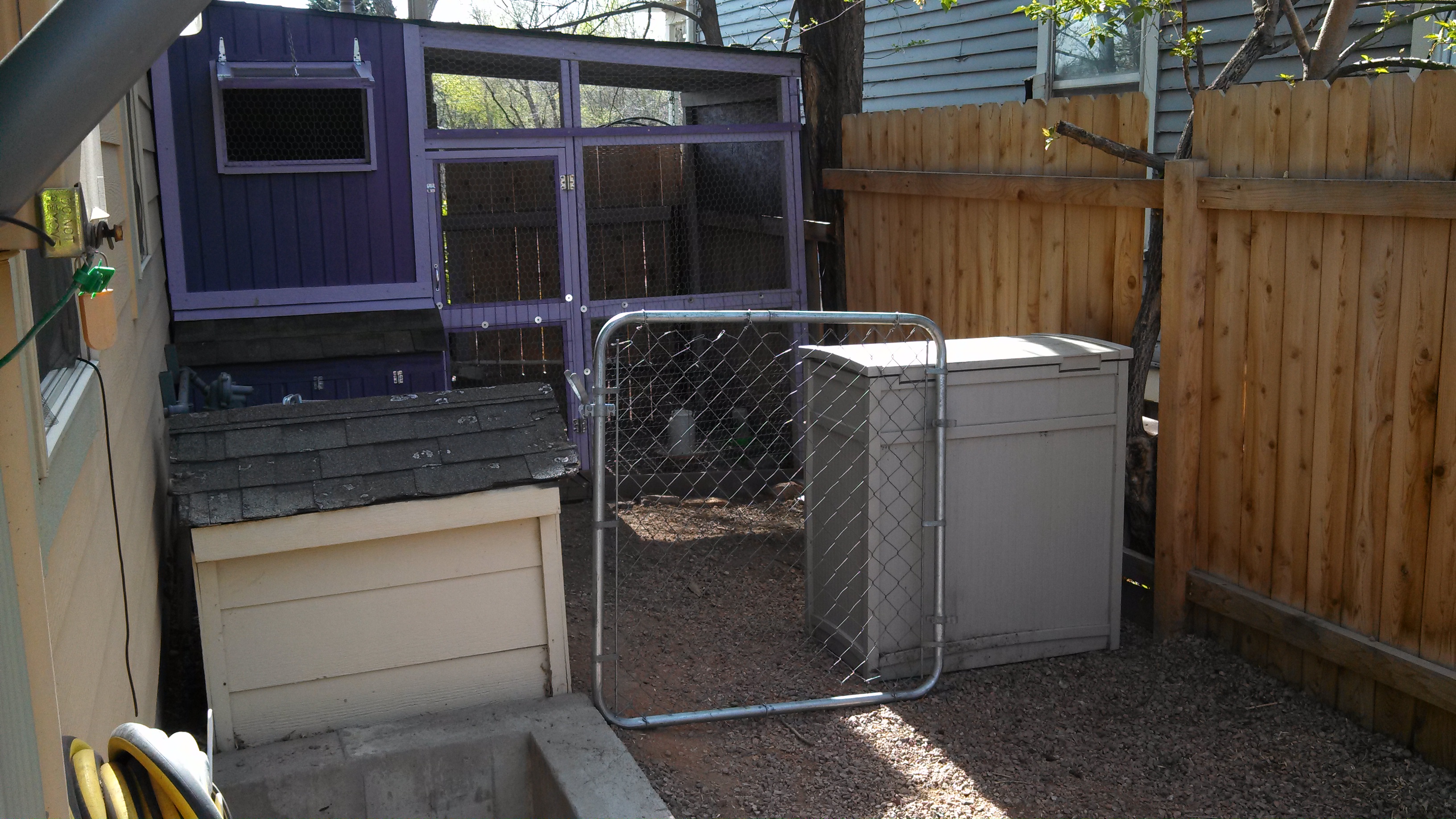 Fortifying the chicken run + Automatic chicken watering system 